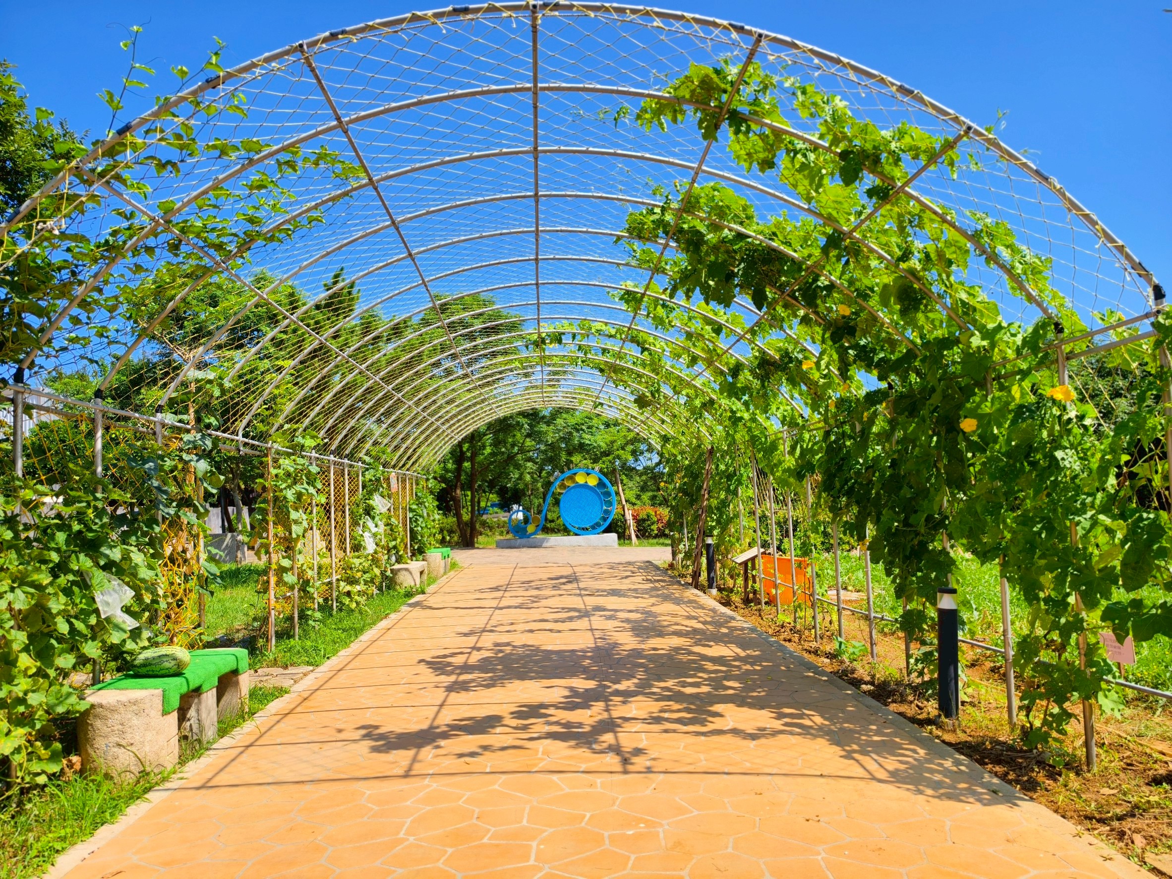 圖片來源:新北市政府