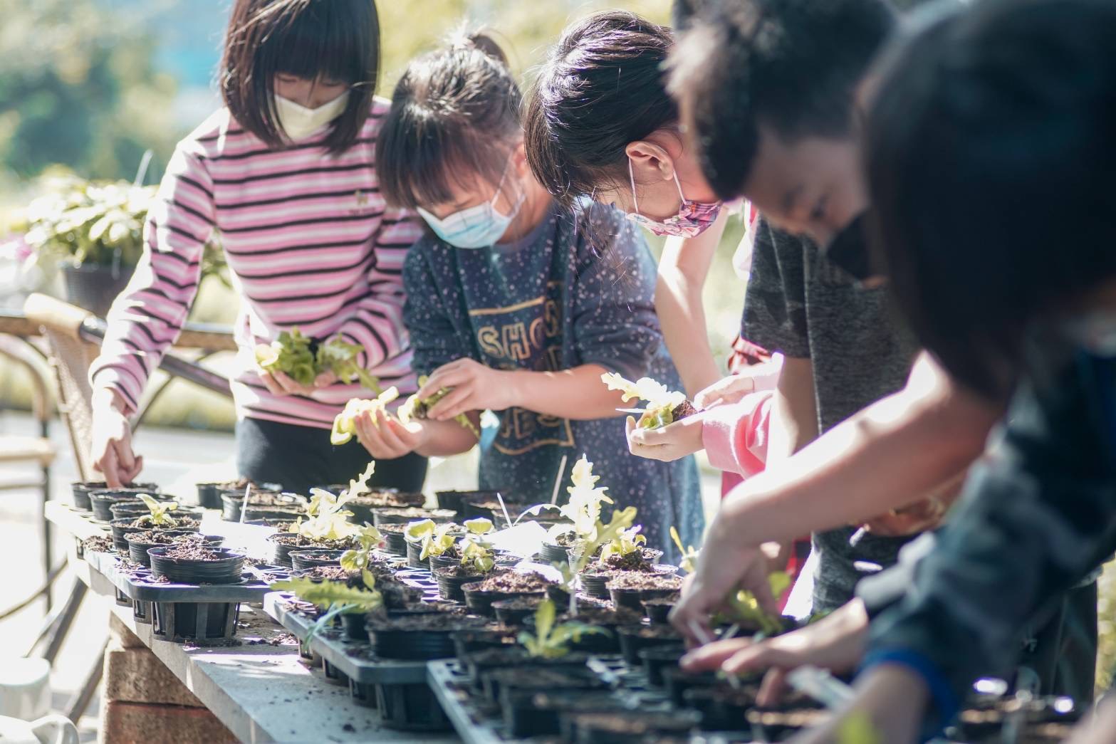 圖片來源:新北市政府