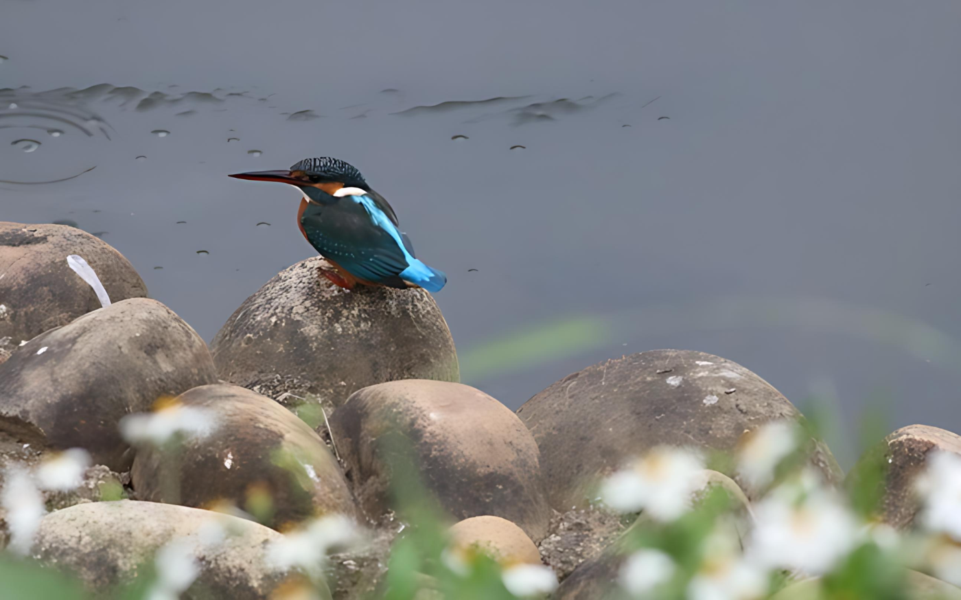 圖片來源:新北市政府