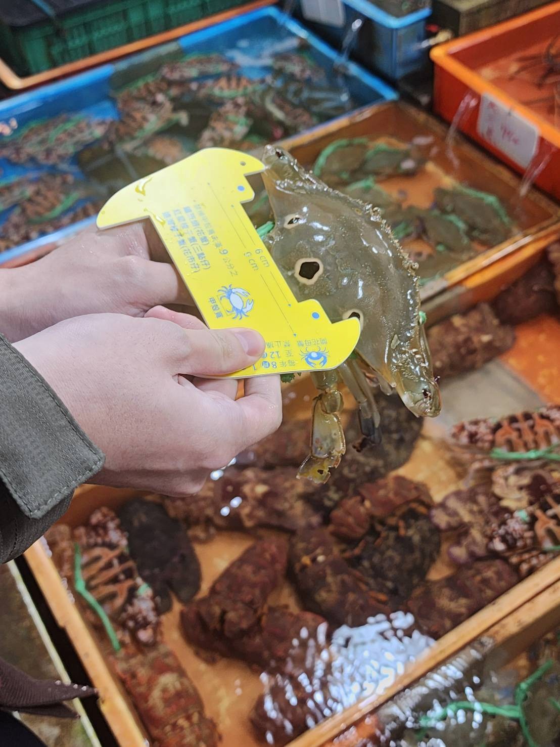 圖片來源:新北市政府