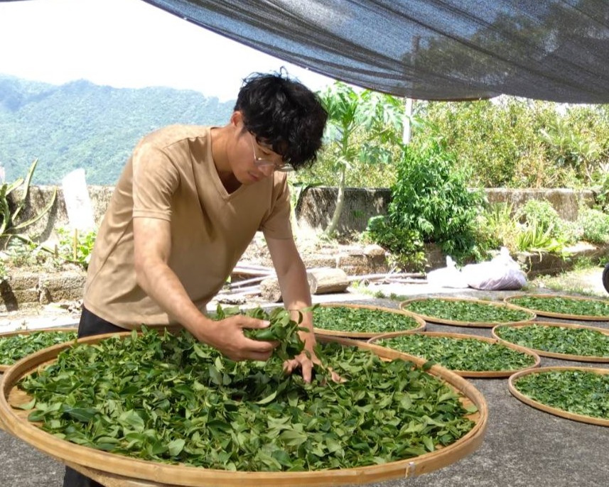 石碇青農張智翔也4度獲得頭等殊榮