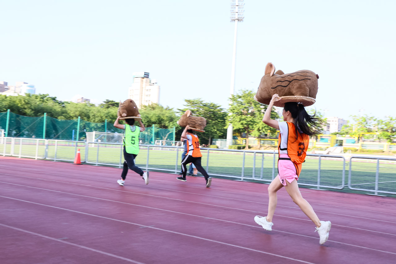 圖片來源:新北市政府