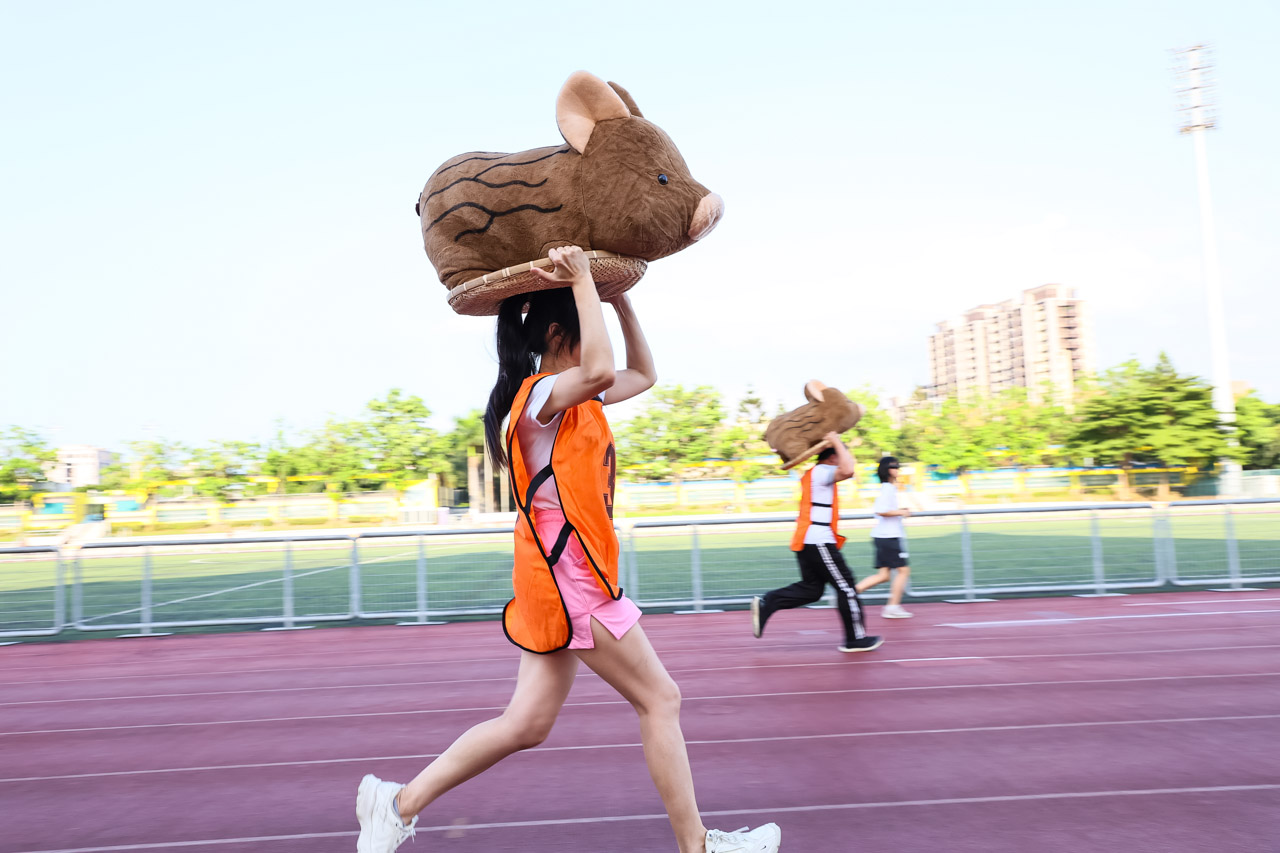 圖片來源:新北市政府