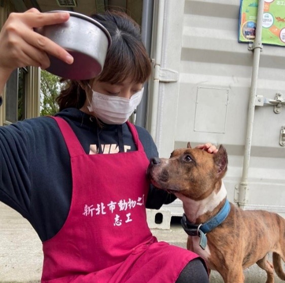 圖片來源:新北市政府