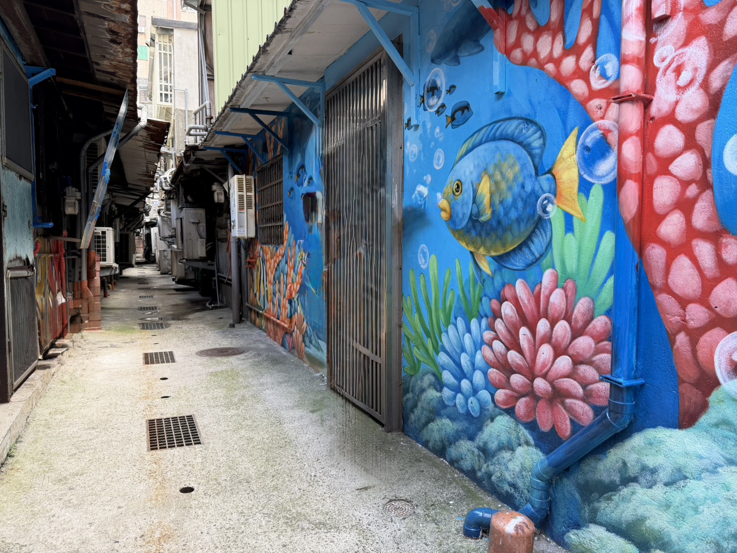 圖片來源:新北市政府