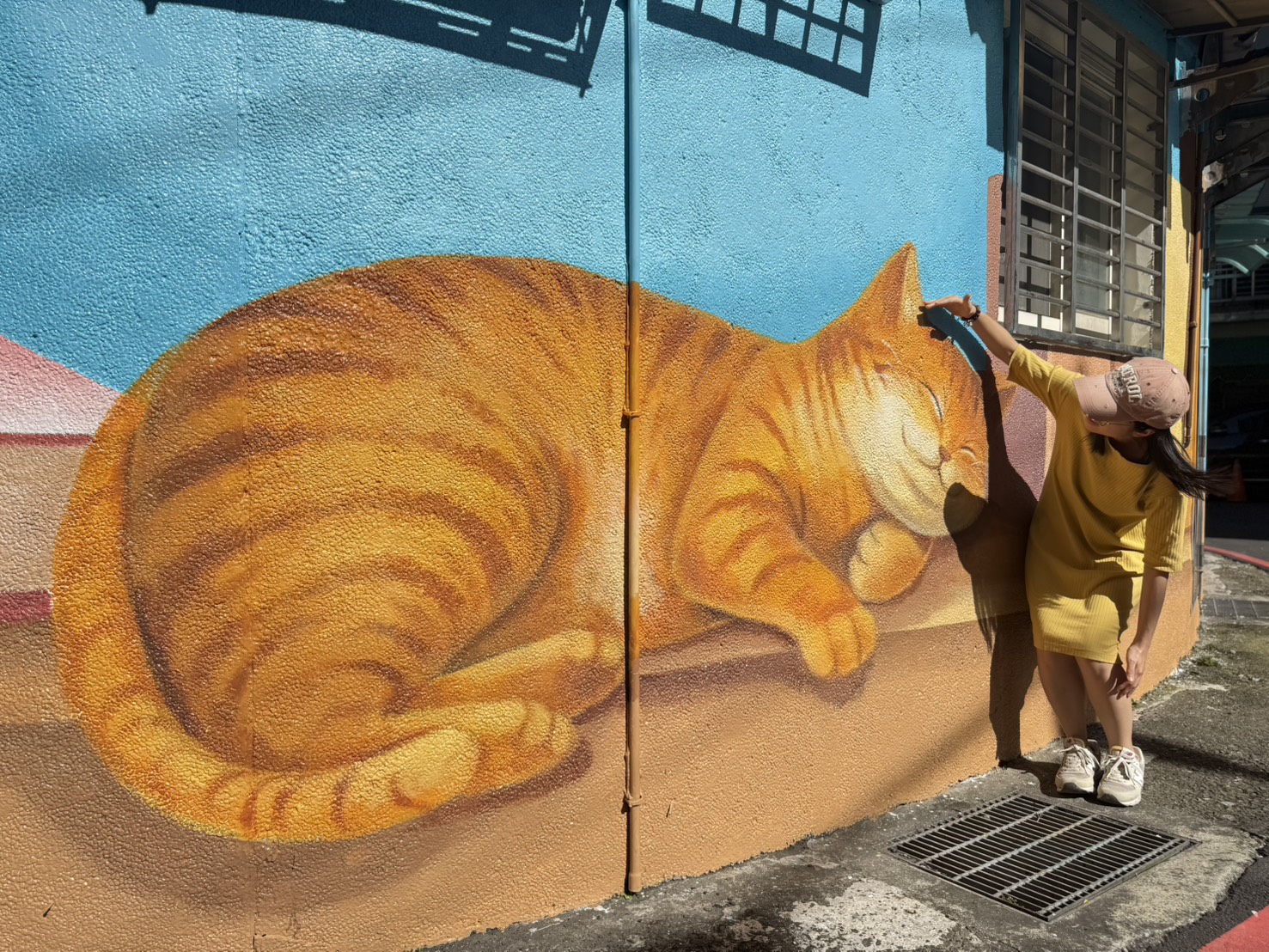 圖片來源:新北市政府