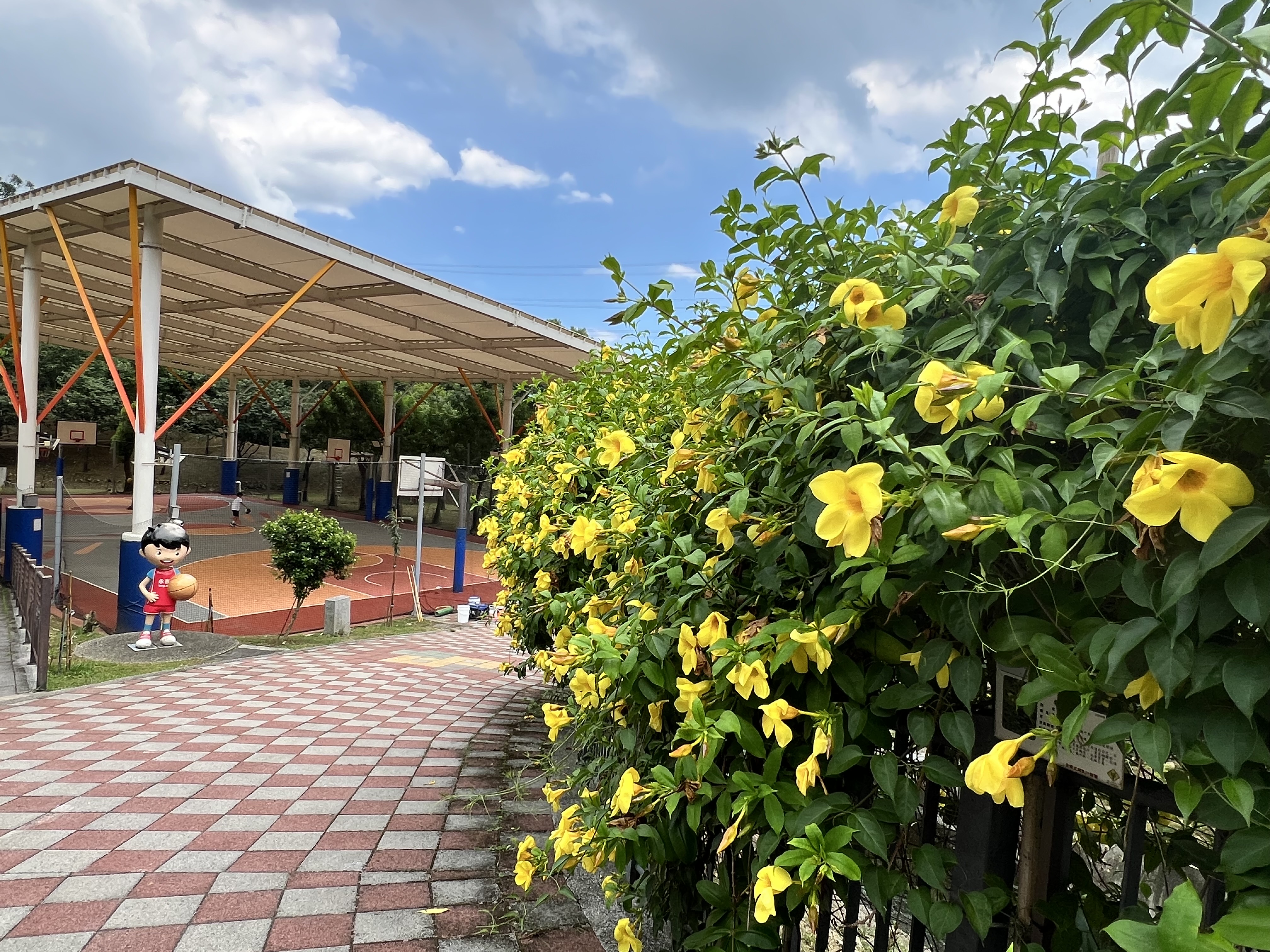 圖片來源:新北市政府