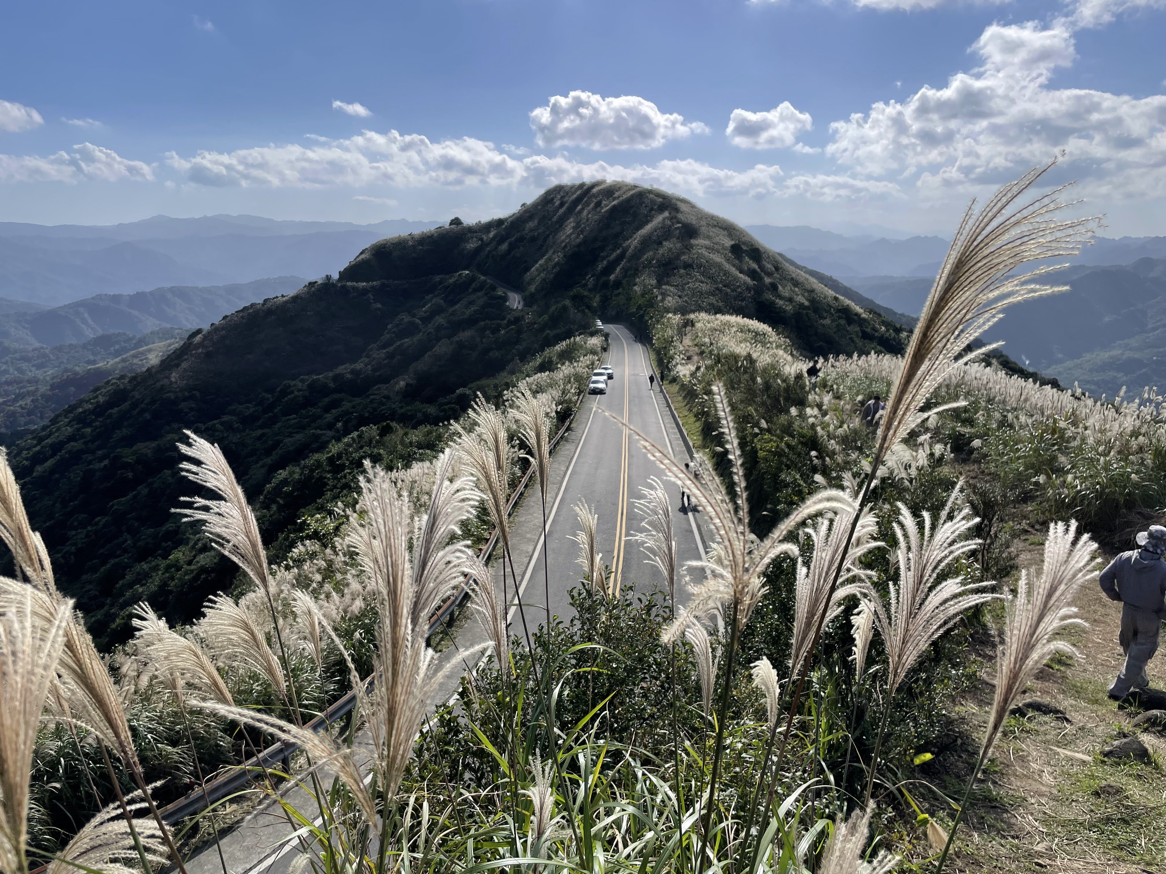 圖片來源:新北市政府
