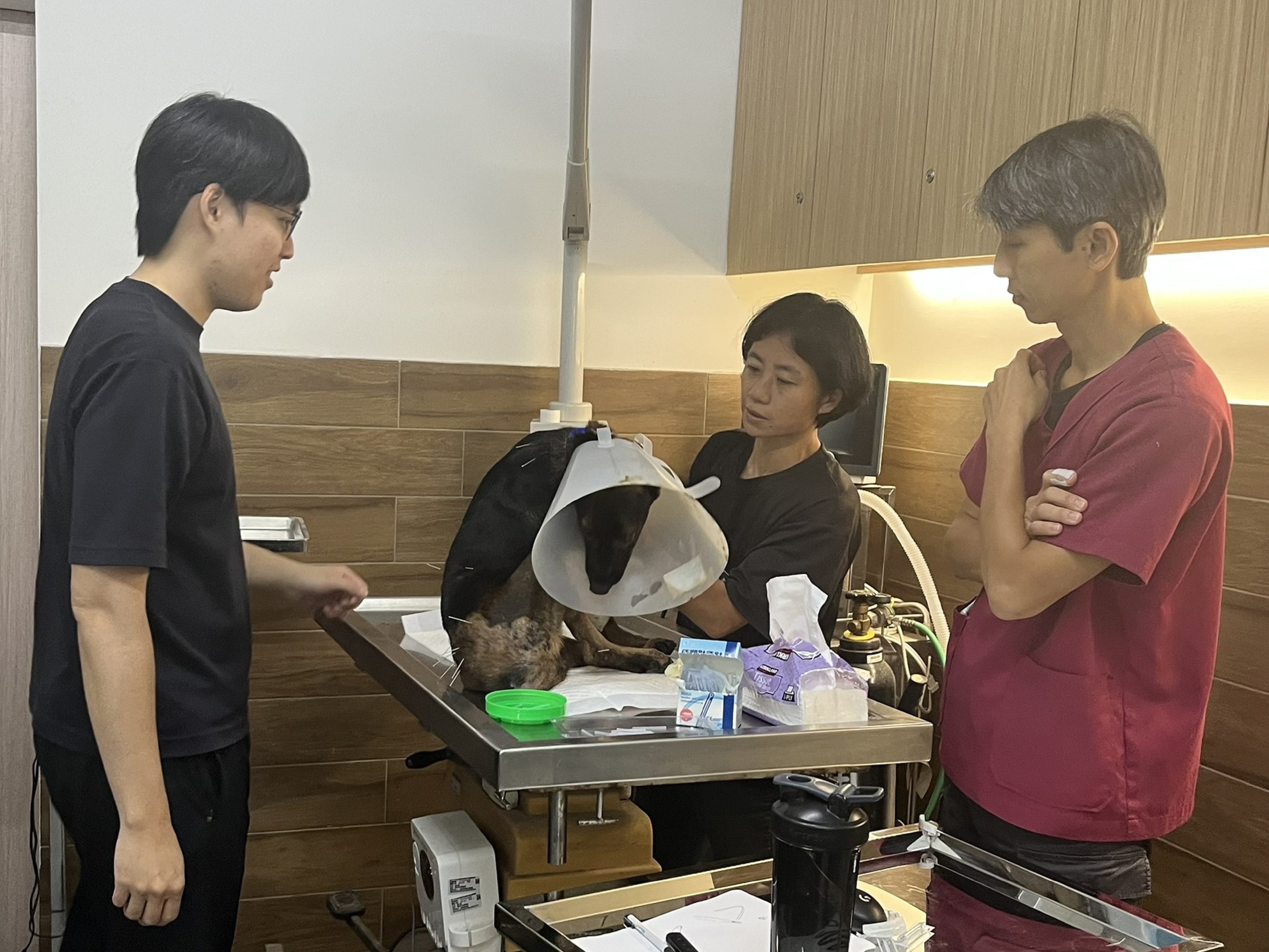 圖片來源:新北市政府