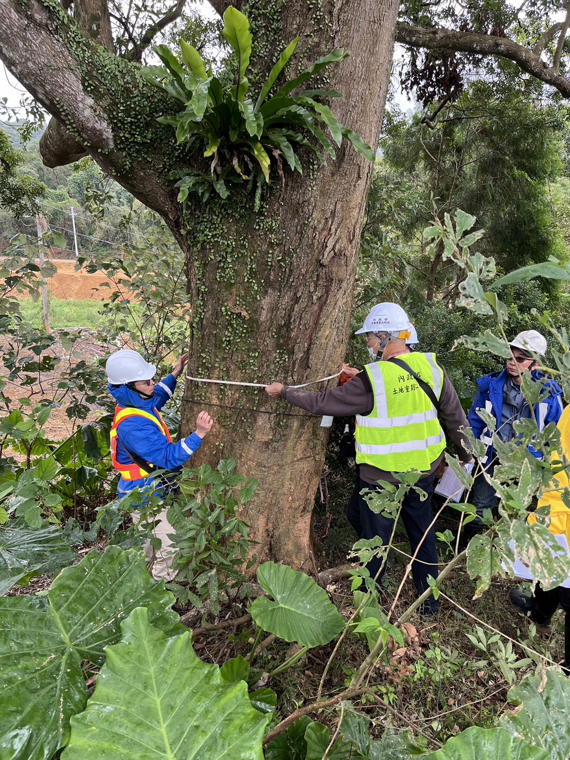 圖片來源:新北市政府