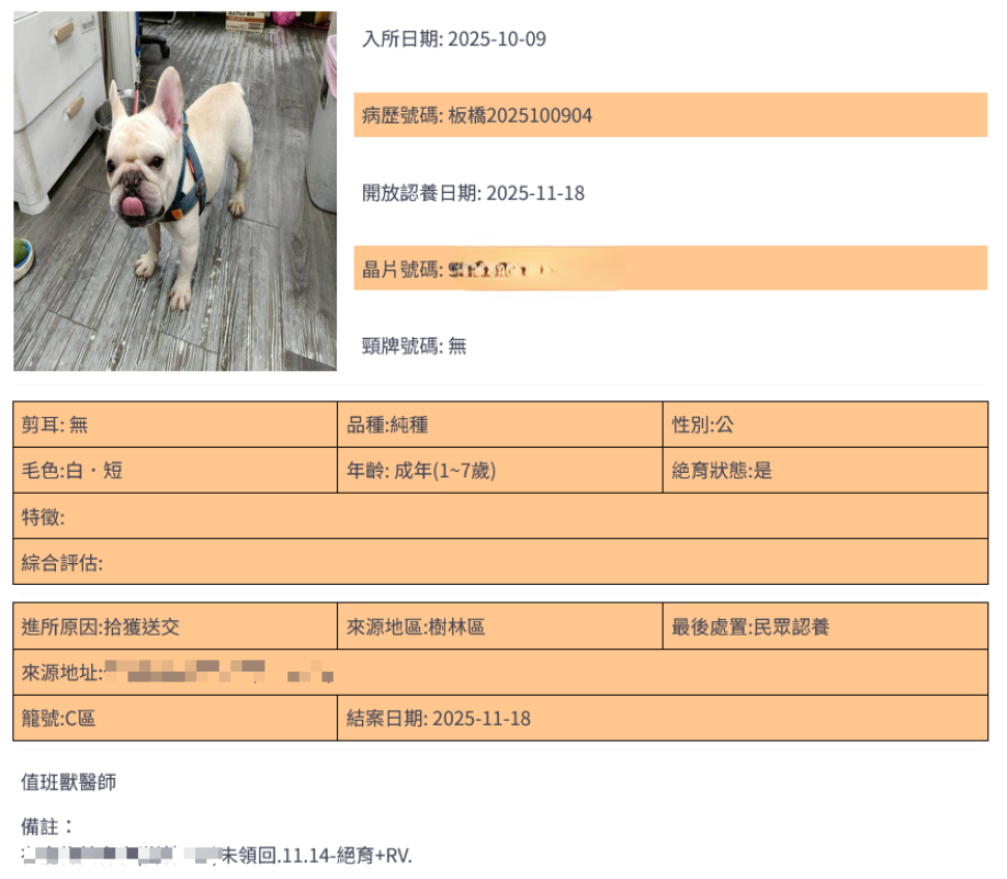 圖片來源:新北市政府