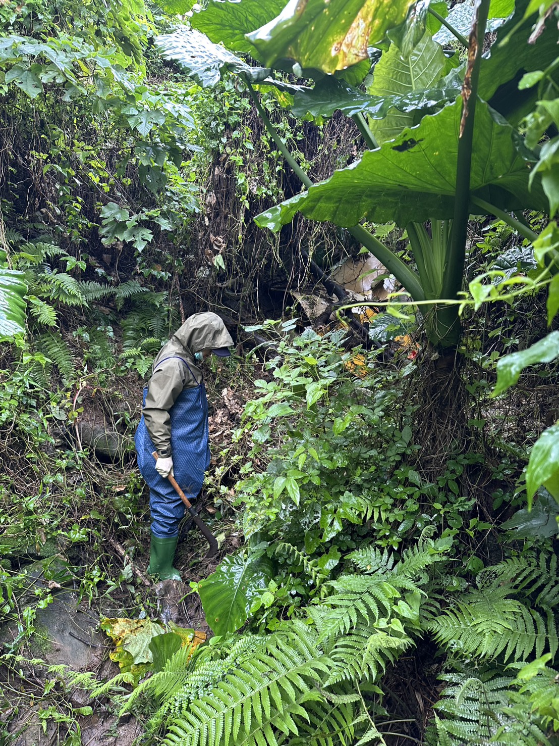 圖片來源:新北市政府