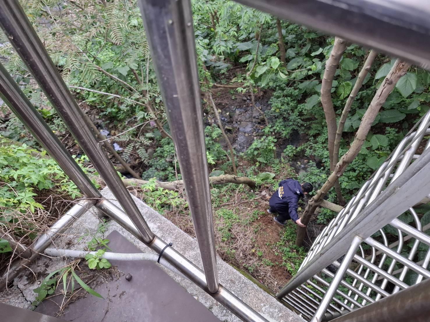 圖片來源:新北市政府