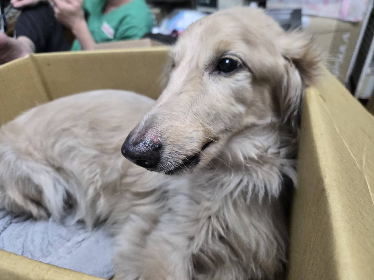 圖片來源:新北市政府