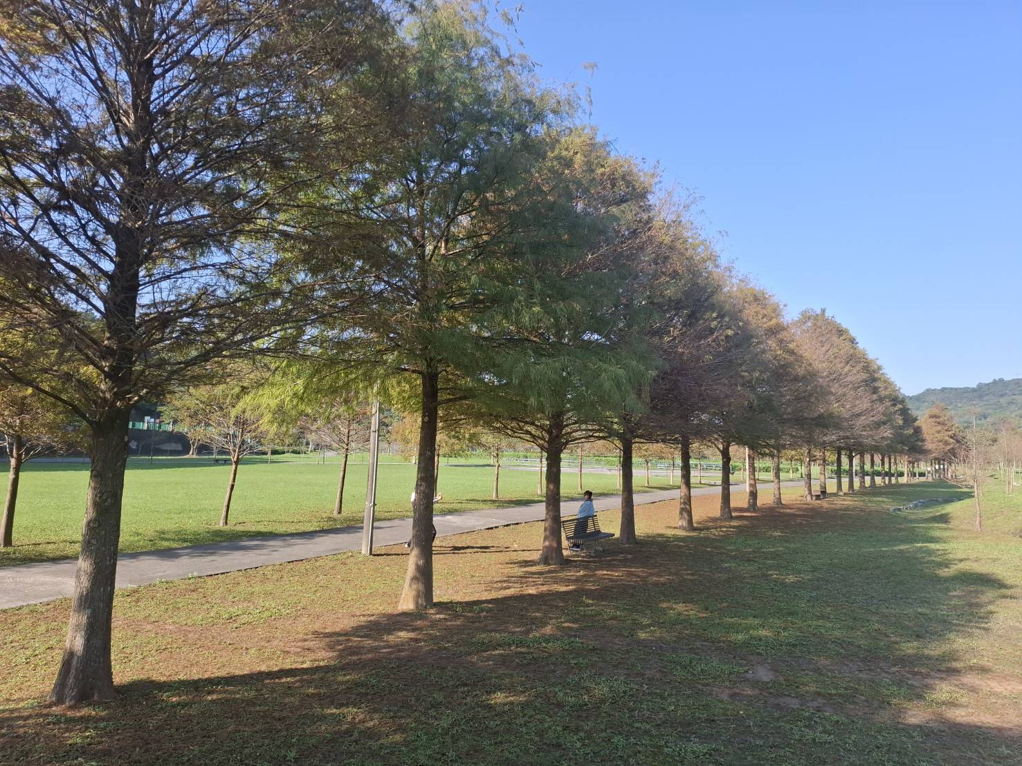 圖片來源:新北市政府