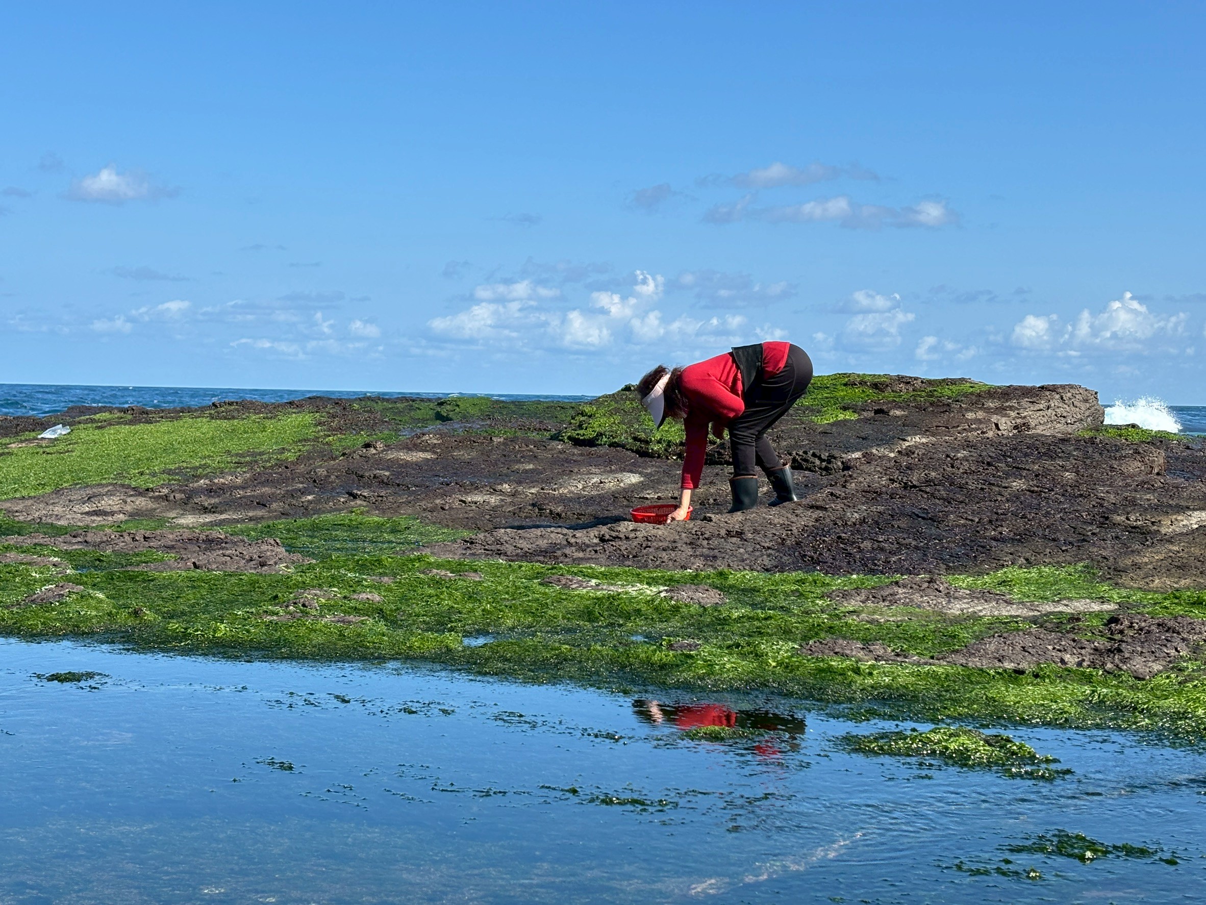 圖片來源:新北市政府