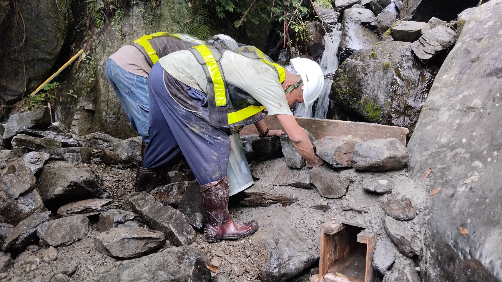 圖片來源:新北市政府
