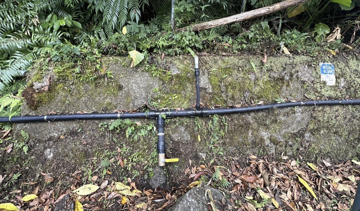 圖片來源:新北市政府