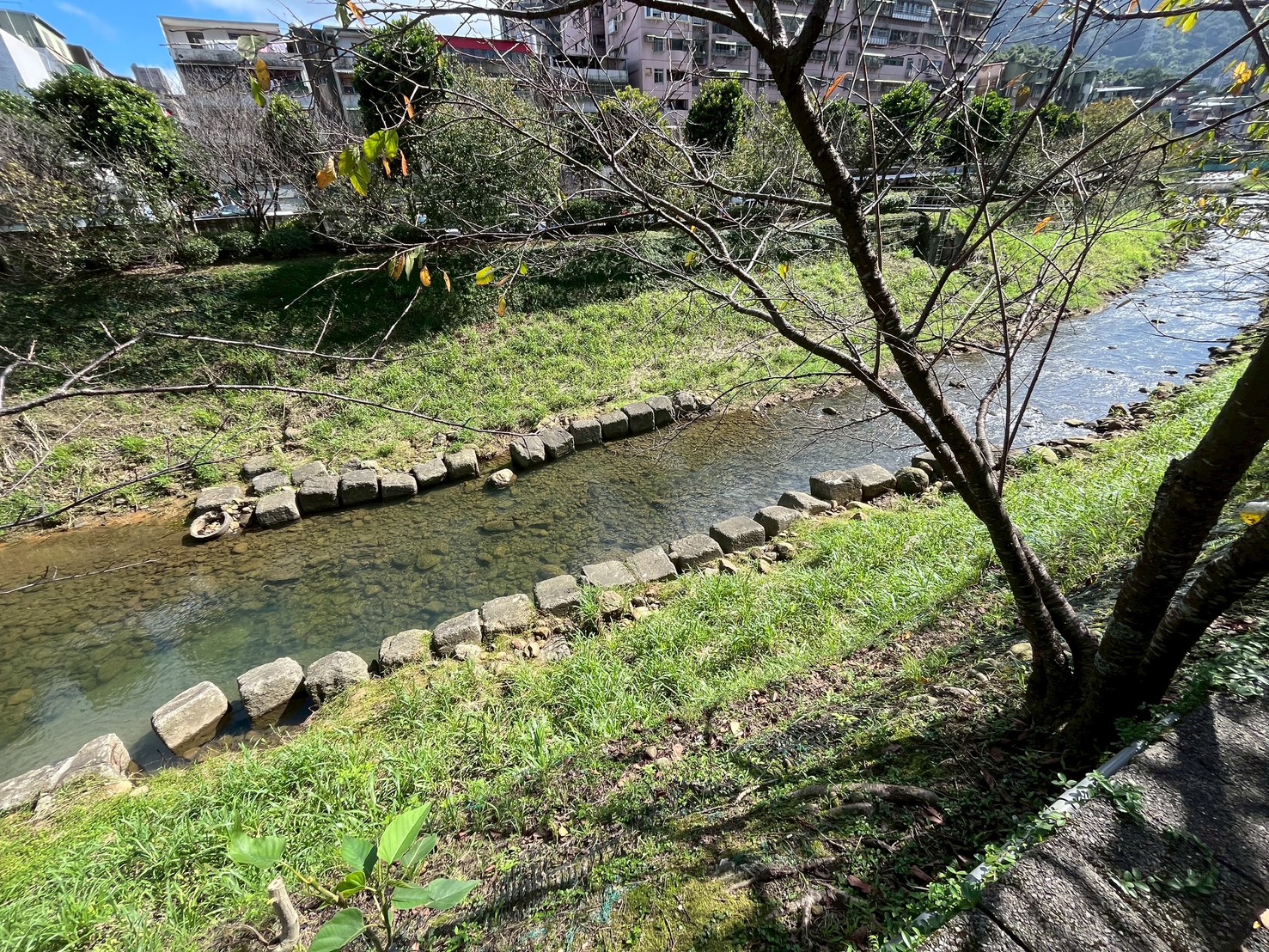 圖片來源:新北市政府