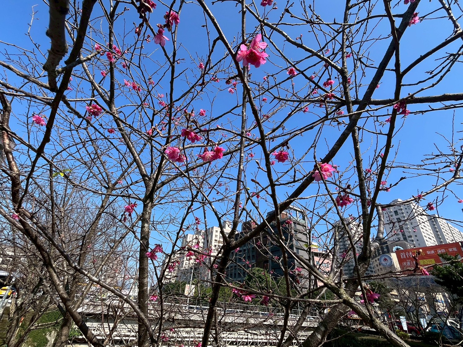 圖片來源:新北市政府