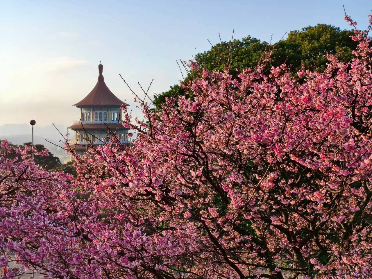圖片來源:新北市政府