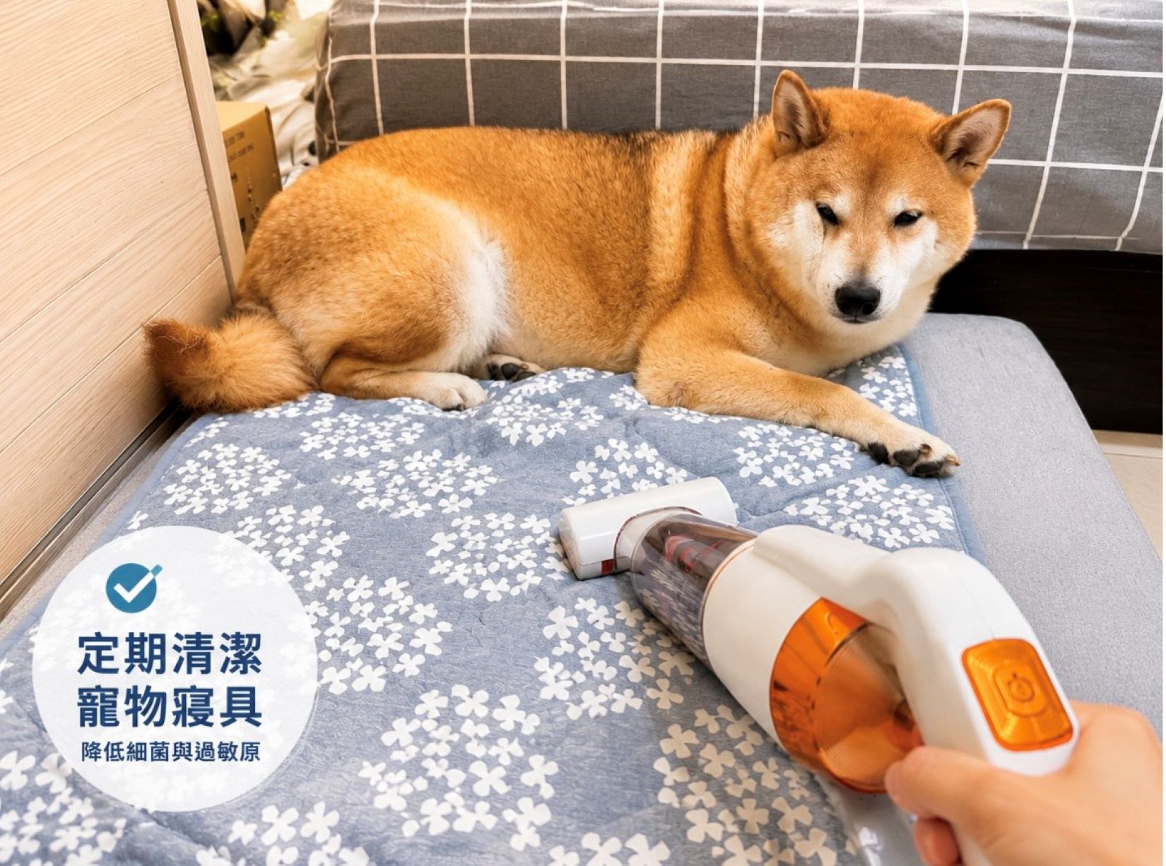 圖片來源:新北市政府