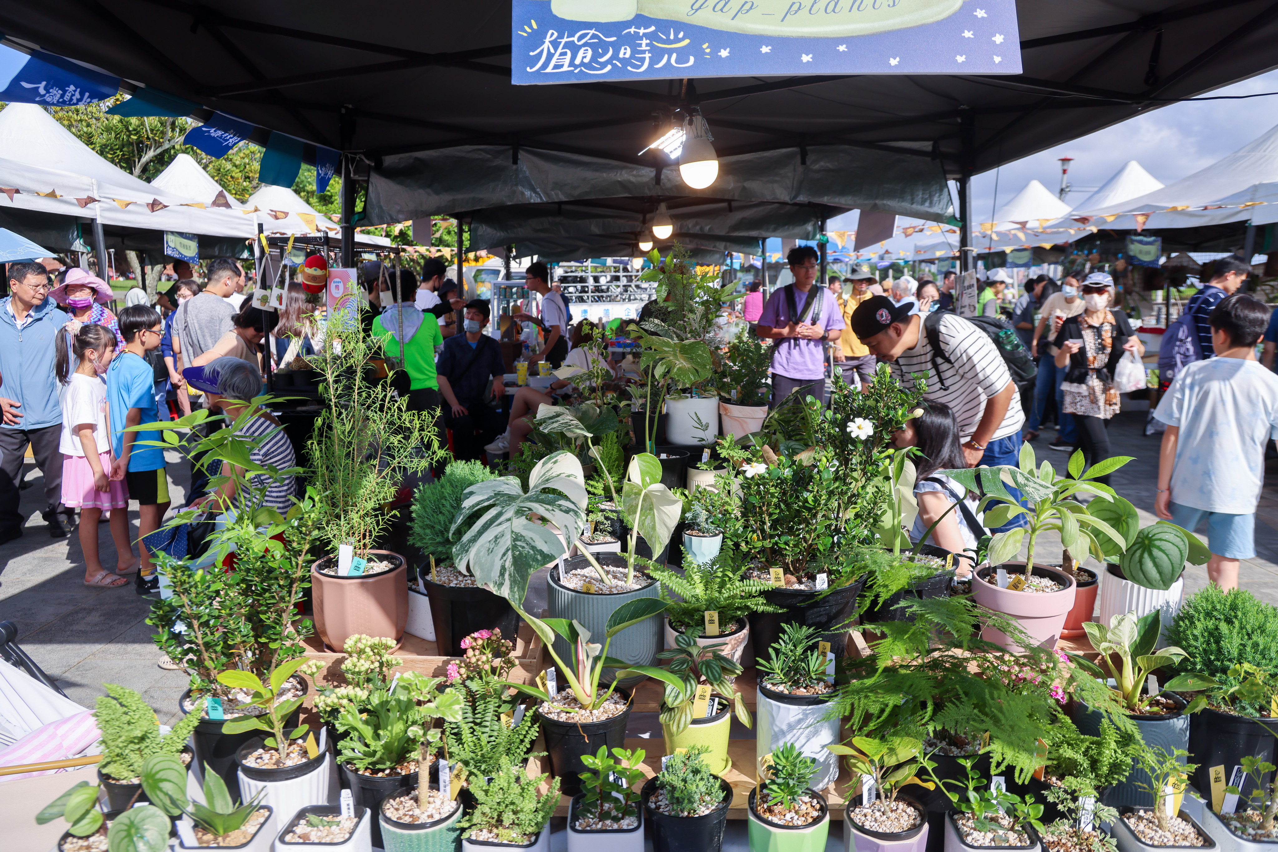 新北市政府近年積極推動「希望市集」品牌，將農業轉型與市民生活、永續發展緊密結合，推出碧潭「小青新咖啡節」、淡水「植愈蒔光節」，打造有地方特色的市集文化。